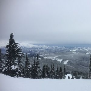 Meet your Posher, Tedi